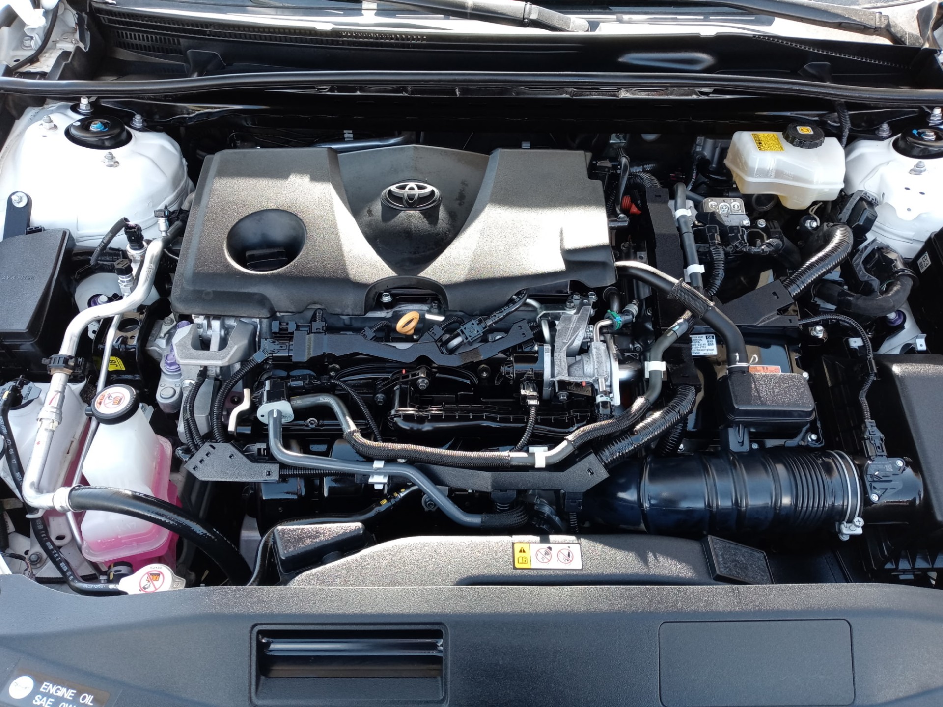 Engine Bay Steam Clean after